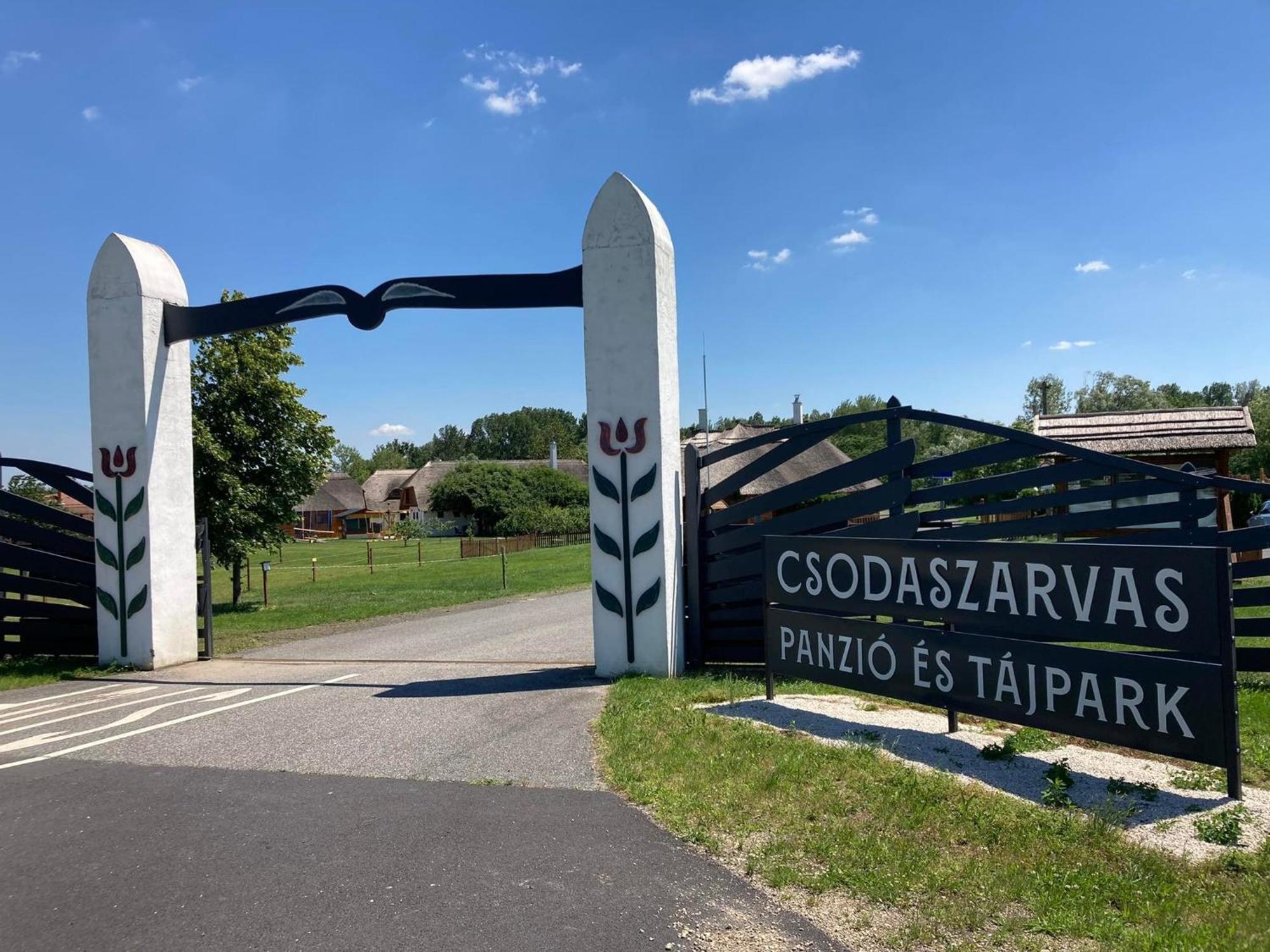 Csodaszarvas Vendeghazak Rabahidveg Екстериор снимка